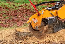 Best Leaf Removal Services  in Highland Acres, DE